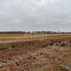 7,4 сотки, участок - изображение 2