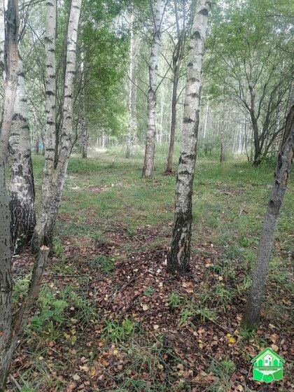 9 соток, участок 549 999 ₽ - изображение 32