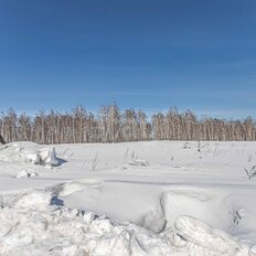 12 соток, участок - изображение 4