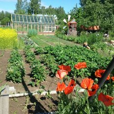 дом + 18,6 сотки, участок - изображение 3