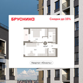 Квартира 45 м², 1-комнатная - изображение 1