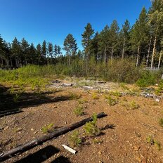 14 соток, участок - изображение 1