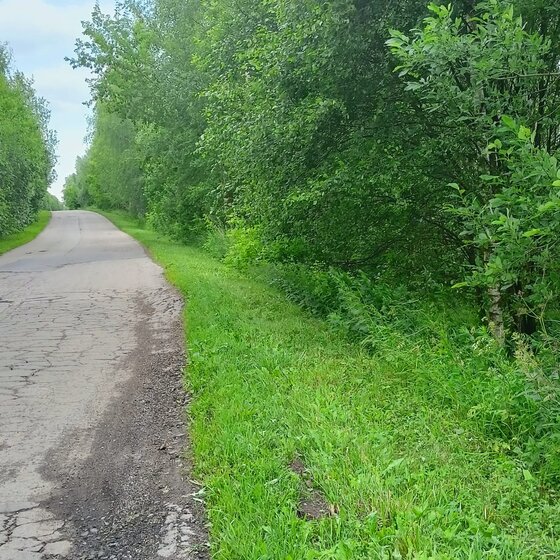 63,5 м², 2-комнатная квартира 32 583 312 ₽ - изображение 20