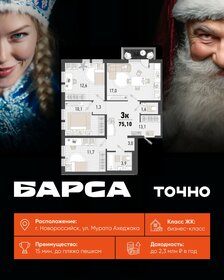 Квартира 75,1 м², 3-комнатная - изображение 1
