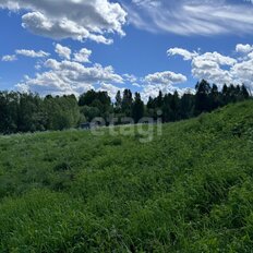 50 соток, участок - изображение 5