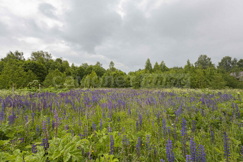 12 соток, участок 4 078 800 ₽ - изображение 58