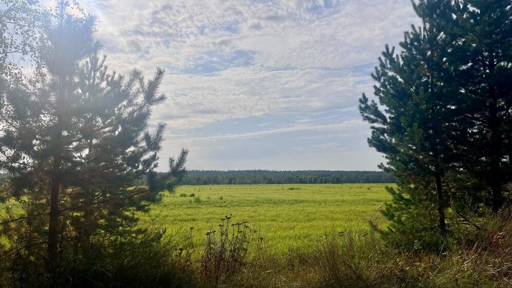 42 м², 2-комнатная квартира 5 600 000 ₽ - изображение 23