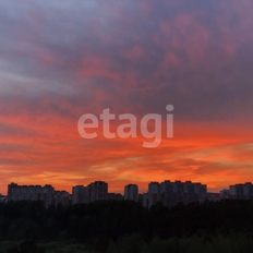 Квартира 53,5 м², 2-комнатная - изображение 5