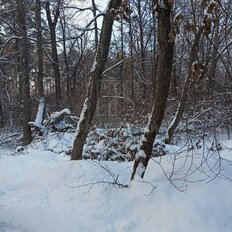 15 соток, участок - изображение 3