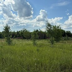 10 соток, участок - изображение 5