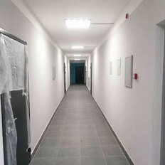 Квартира 42 м², 2-комнатная - изображение 5