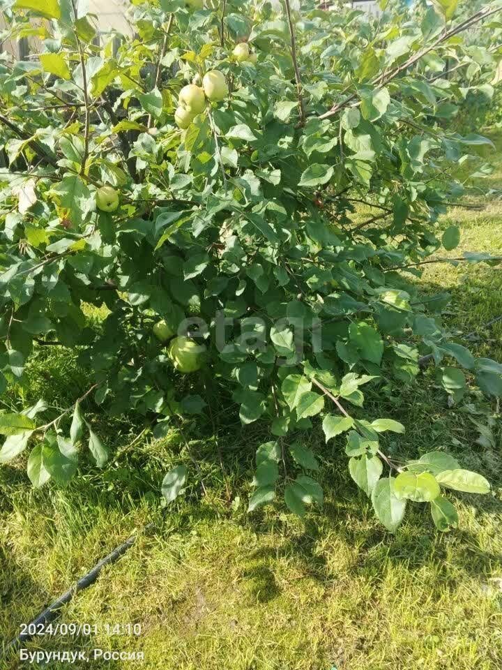 Дом 1-комн. 16 м² в Томск — фото 11 из 13