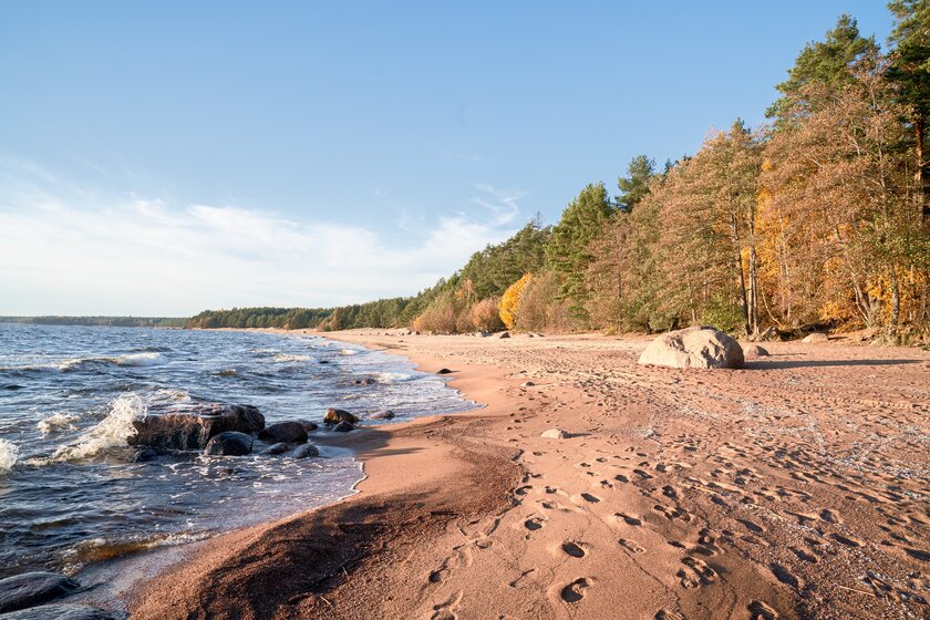 45 м², 1-комнатная квартира 2 600 000 ₽ - изображение 18