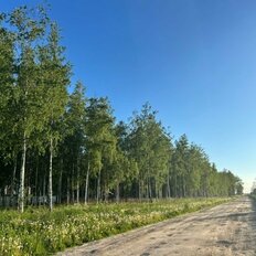 12 соток, участок - изображение 5