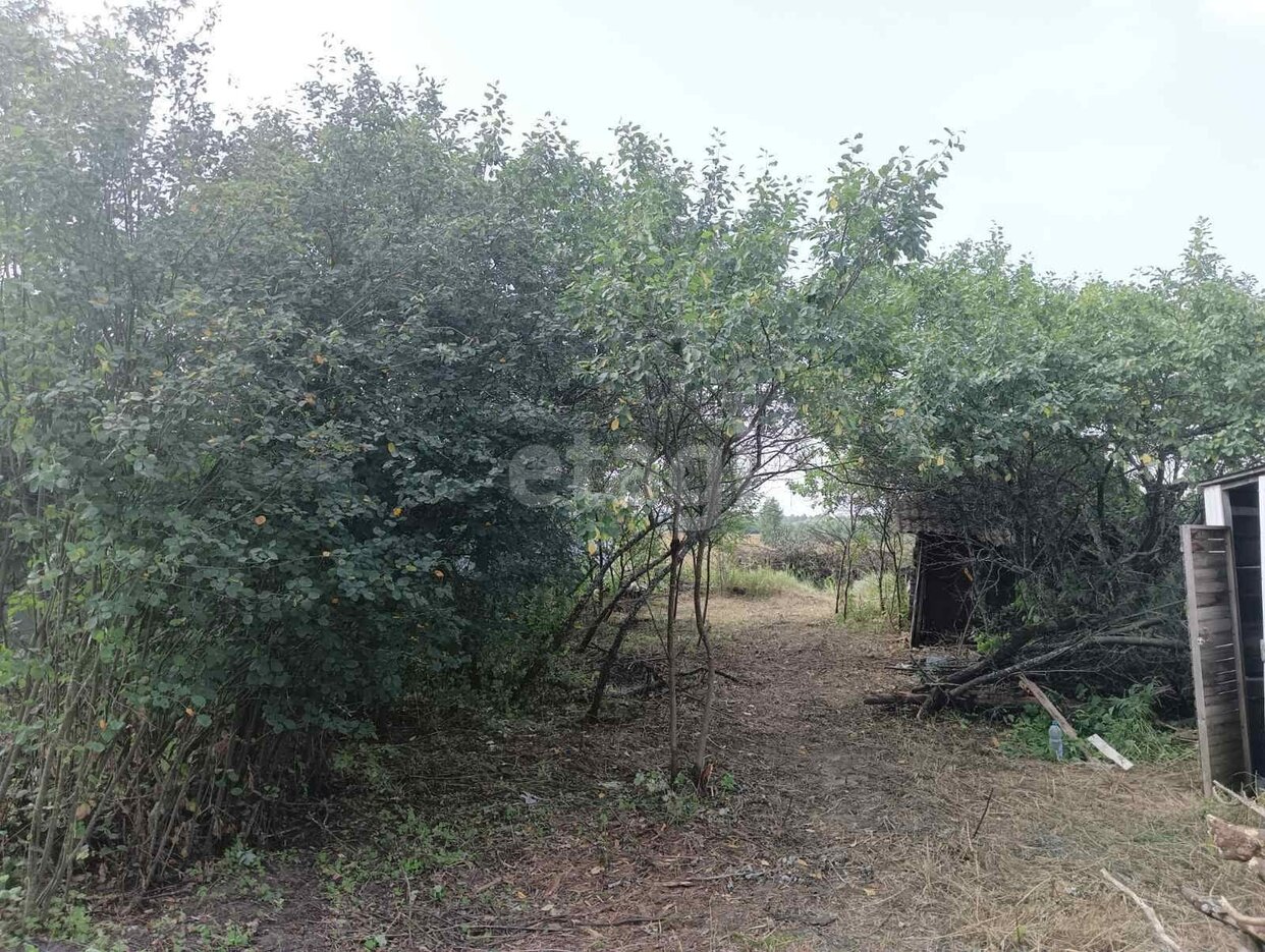 Дом 2-комн. 35.6 м² в деревня Злобино — фото 11 из 11