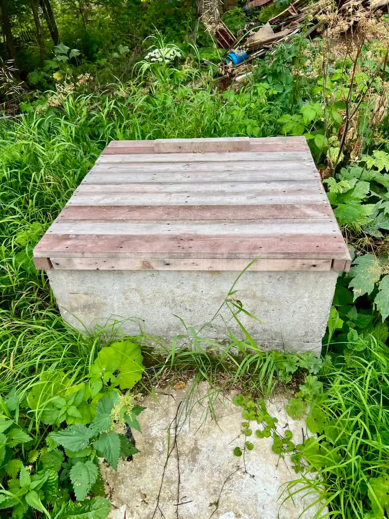 Дом 2-комн. 57.9 м² в село Пажга — фото 23 из 28