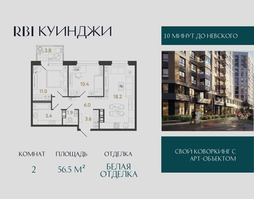 Квартира 56,5 м², 2-комнатная - изображение 1