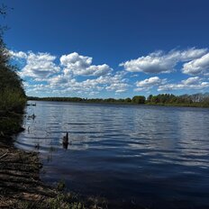 15 соток, участок - изображение 4