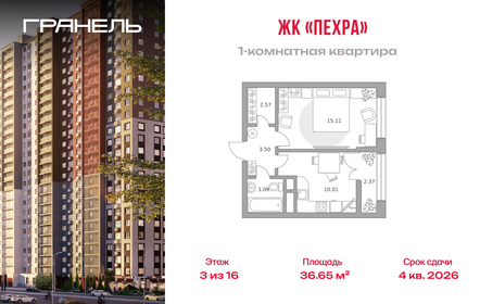 Квартира 36,7 м², 1-комнатная - изображение 1