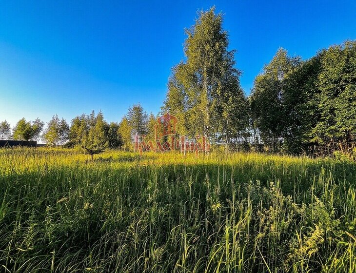 14 соток, участок 500 000 ₽ - изображение 23