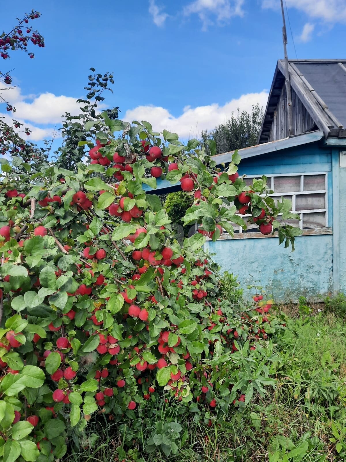 Дом 1-комн. 10 м² в СДТ Автомобилист — фото 4