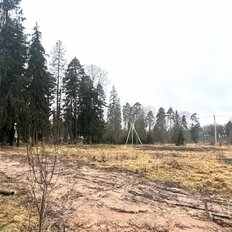 31 сотка, участок - изображение 3