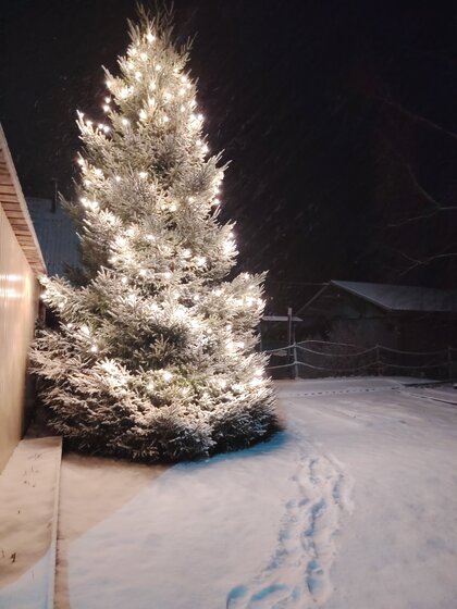 35 м² дом, 15 соток участок 9 000 ₽ в сутки - изображение 60