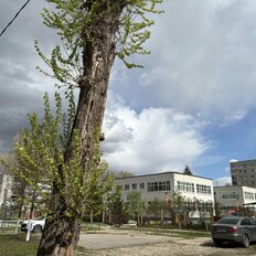 Квартира 45 м², 2-комнатная - изображение 1