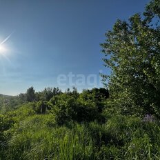 6 соток, участок - изображение 3