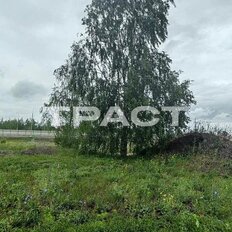 8 соток, участок - изображение 5