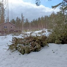 10 соток, участок - изображение 4