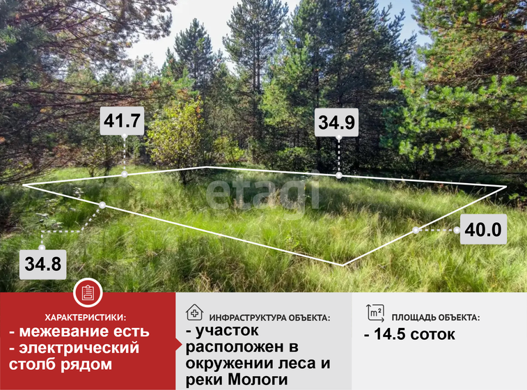 33,8 сотки, участок 450 000 ₽ - изображение 30
