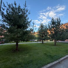Квартира 38,1 м², 1-комнатная - изображение 1