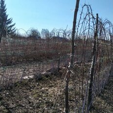 10 соток, участок - изображение 2