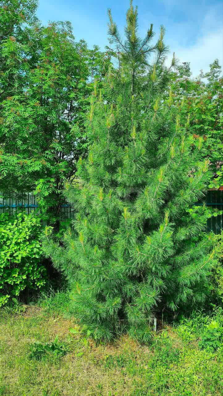 Дом 2-комн. 40 м² в Ухта — фото 30 из 30