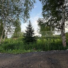6 соток, участок - изображение 1