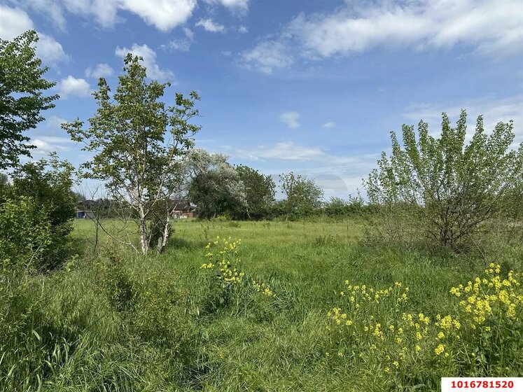 6,6 сотки, участок 3 000 000 ₽ - изображение 36