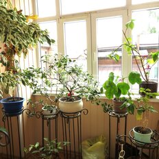 Квартира 90,5 м², 3-комнатная - изображение 1