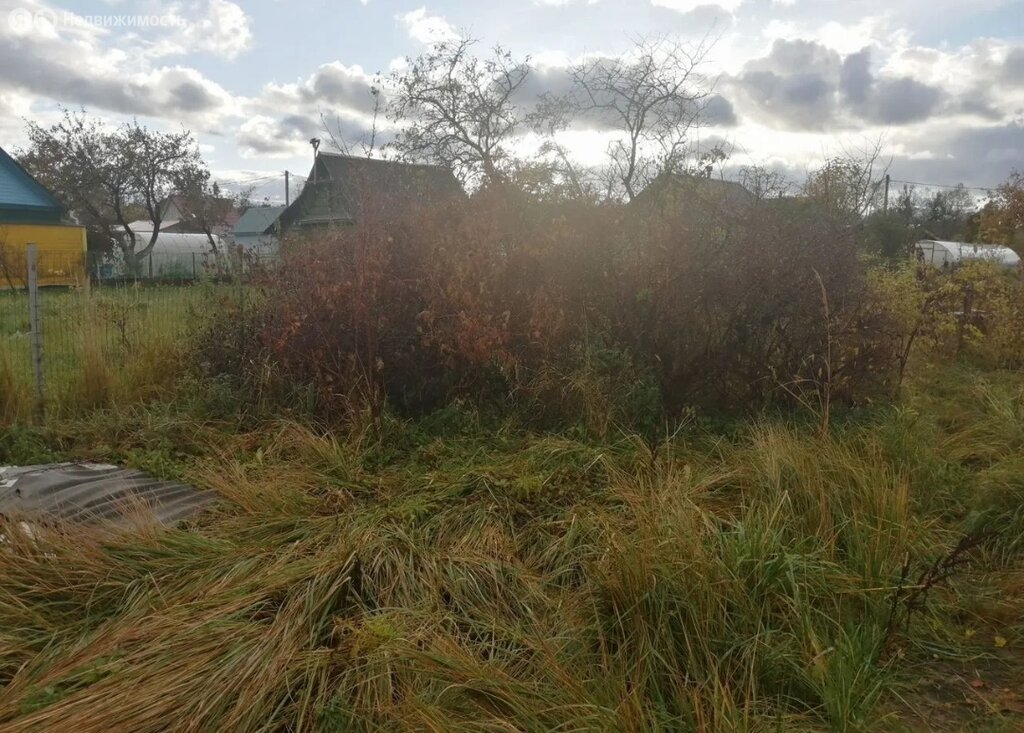 Участок в Кингисепп, садоводческий массив Юннатская, садоводческое некоммерческое товарищество Берёзка, Земляничная улица, 9 (3 м²)