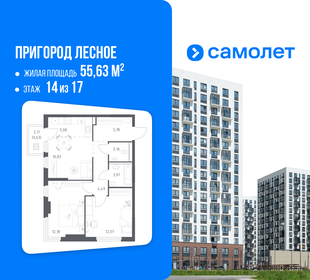 Квартира 55,6 м², 2-комнатная - изображение 1