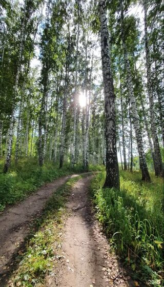 8,2 сотки, участок 880 000 ₽ - изображение 53