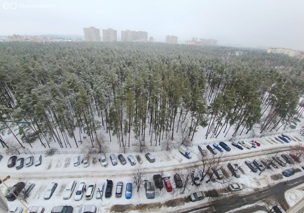 3-комнатная квартира: Воронеж, улица Владимира Невского, 25/8 (68.8 м²)