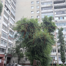 Квартира 54,9 м², 2-комнатная - изображение 1