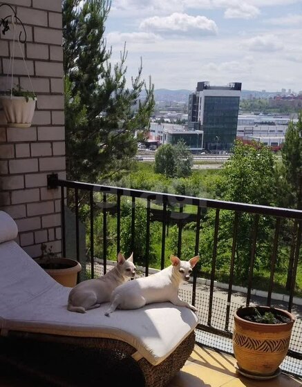 350 м² дом, 10 соток участок 6 000 000 ₽ - изображение 63