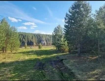 13,5 сотки, участок 330 000 ₽ - изображение 23