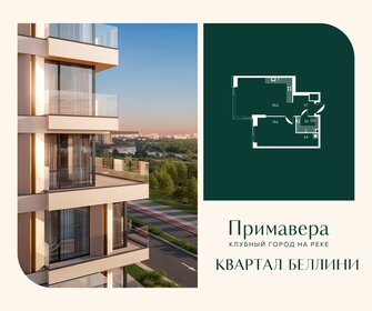 Квартира 50,6 м², 1-комнатная - изображение 1