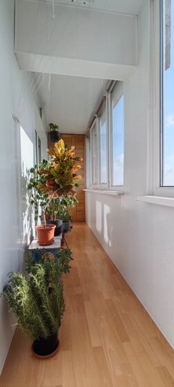 52 м², 2-комнатная квартира 11 000 000 ₽ - изображение 55