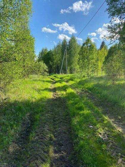 10 соток, участок 199 000 ₽ - изображение 32