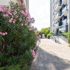 Квартира 32 м², 2-комнатная - изображение 2