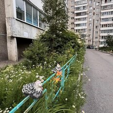Квартира 50 м², 2-комнатная - изображение 5